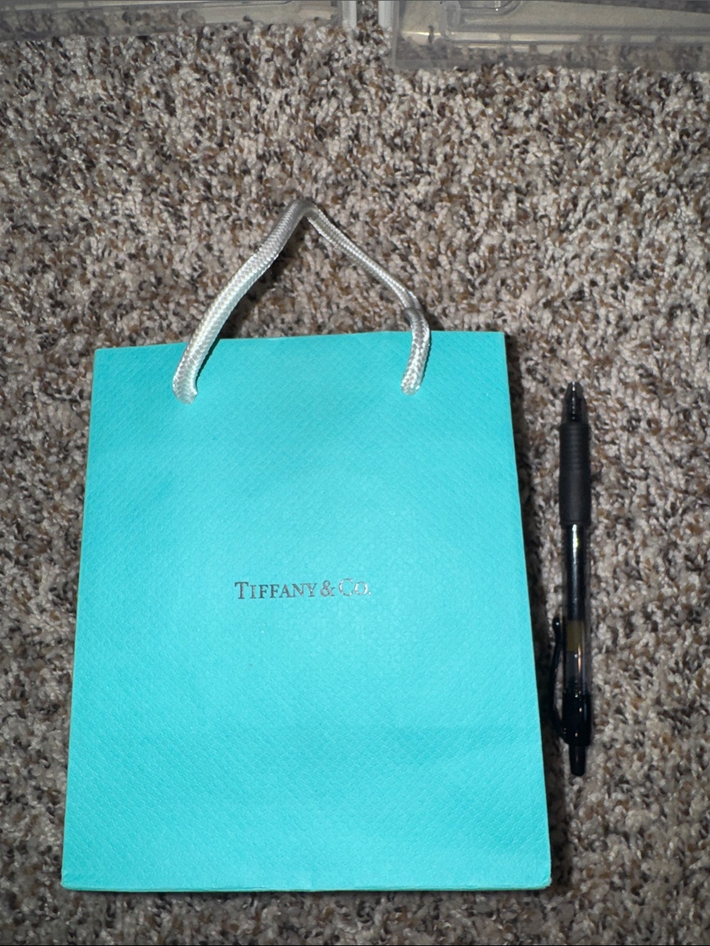 Tiffany & Co. Signature Robin's Egg Blue Gift Bag with white handle